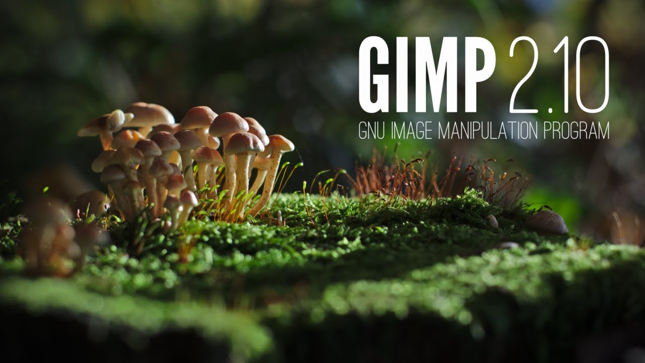 GIMP - narzędzia rysowniczne