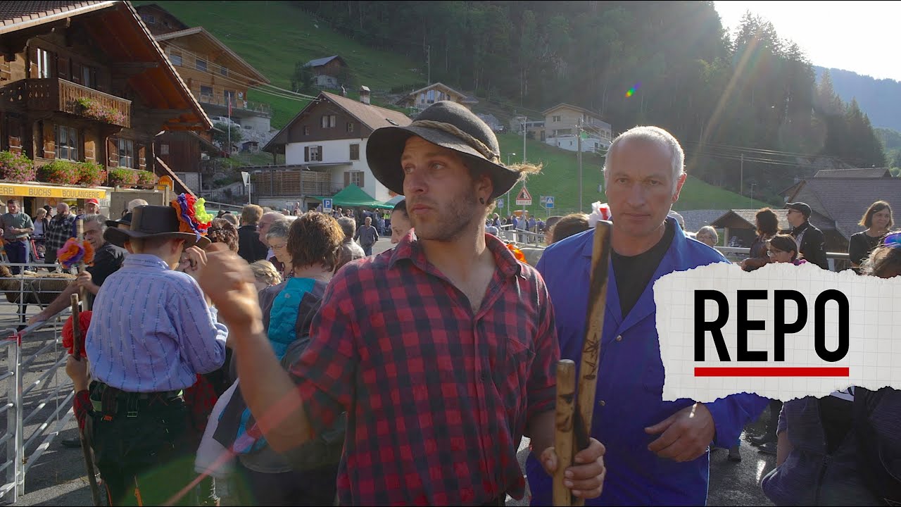Schafscheid Jaun 2019