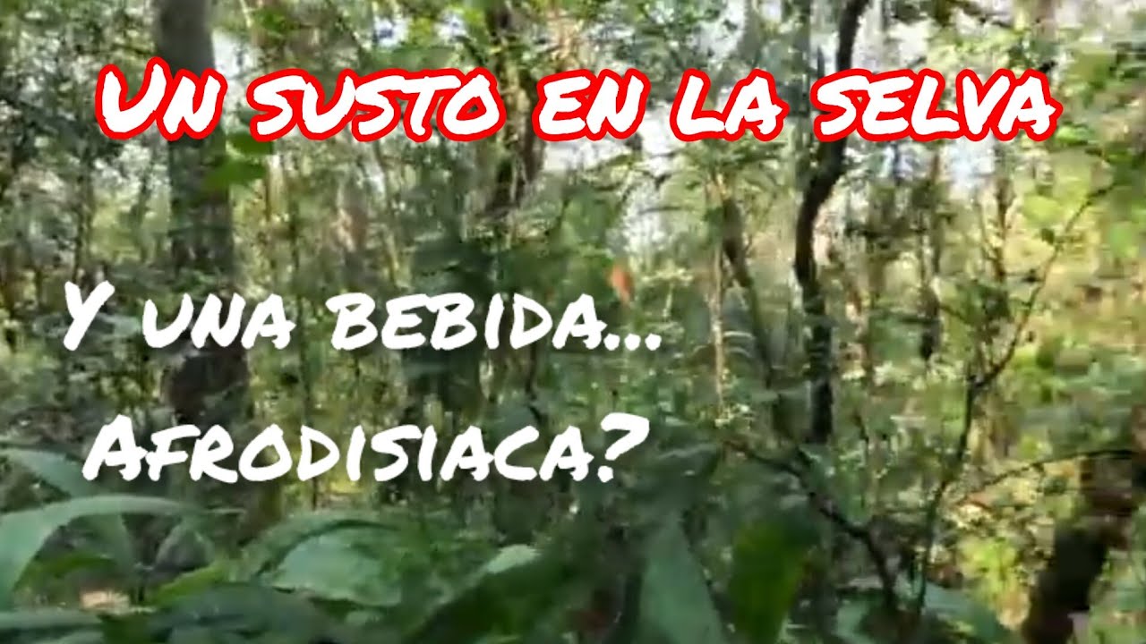 💖Misiones enamora. ✨Escénica Ruta 2, un camino que sorprende🕷️. Y un final de lujo en APOSTOLES.😎