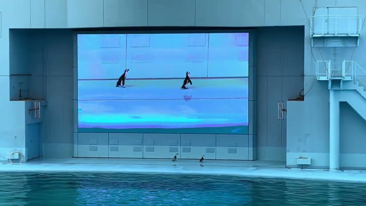 Yokohama Sea Paradise / 横浜シーパラダイス