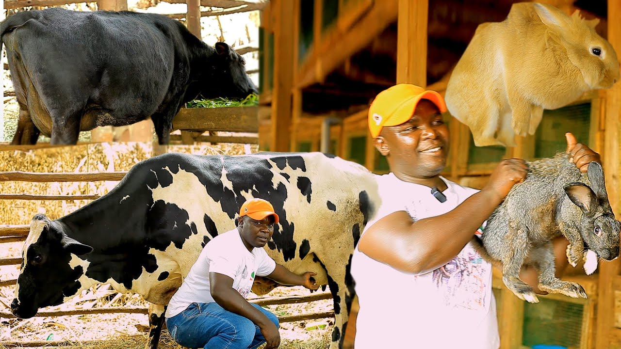 Inkwavu zavuyemwo INKA//Ama MILLIONS nakuye mu NKWAVU//Iraro ry'agakura ry'umurundi adasanzwe