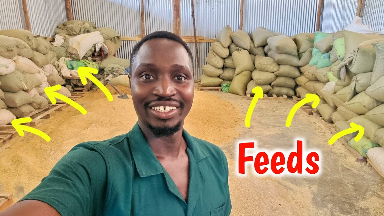 My Farm Tour | 4 Acres of Steady  Growth 