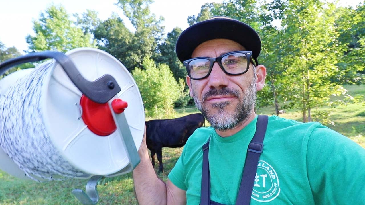 Don't let them push you/ Family moves cows and is building a homestead
