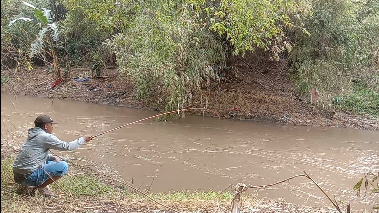 ENAK BANGET MANCING DI SPOT INI