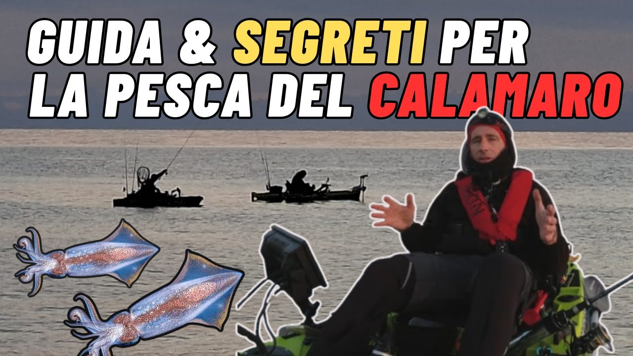 Pesca ai Calamari – Guida e SEGRETI