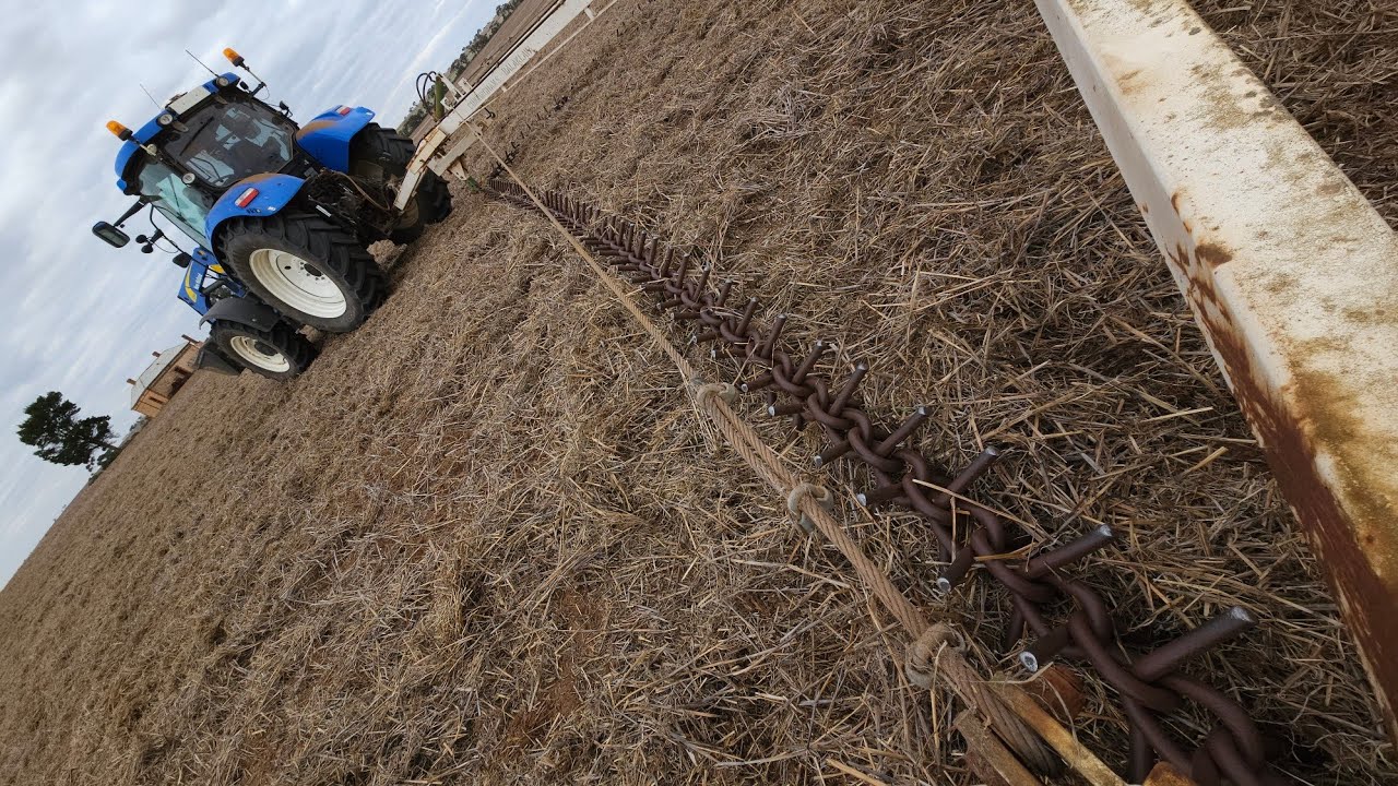 Prickle Chaining, Haircutting Beans and Sheep | May '23