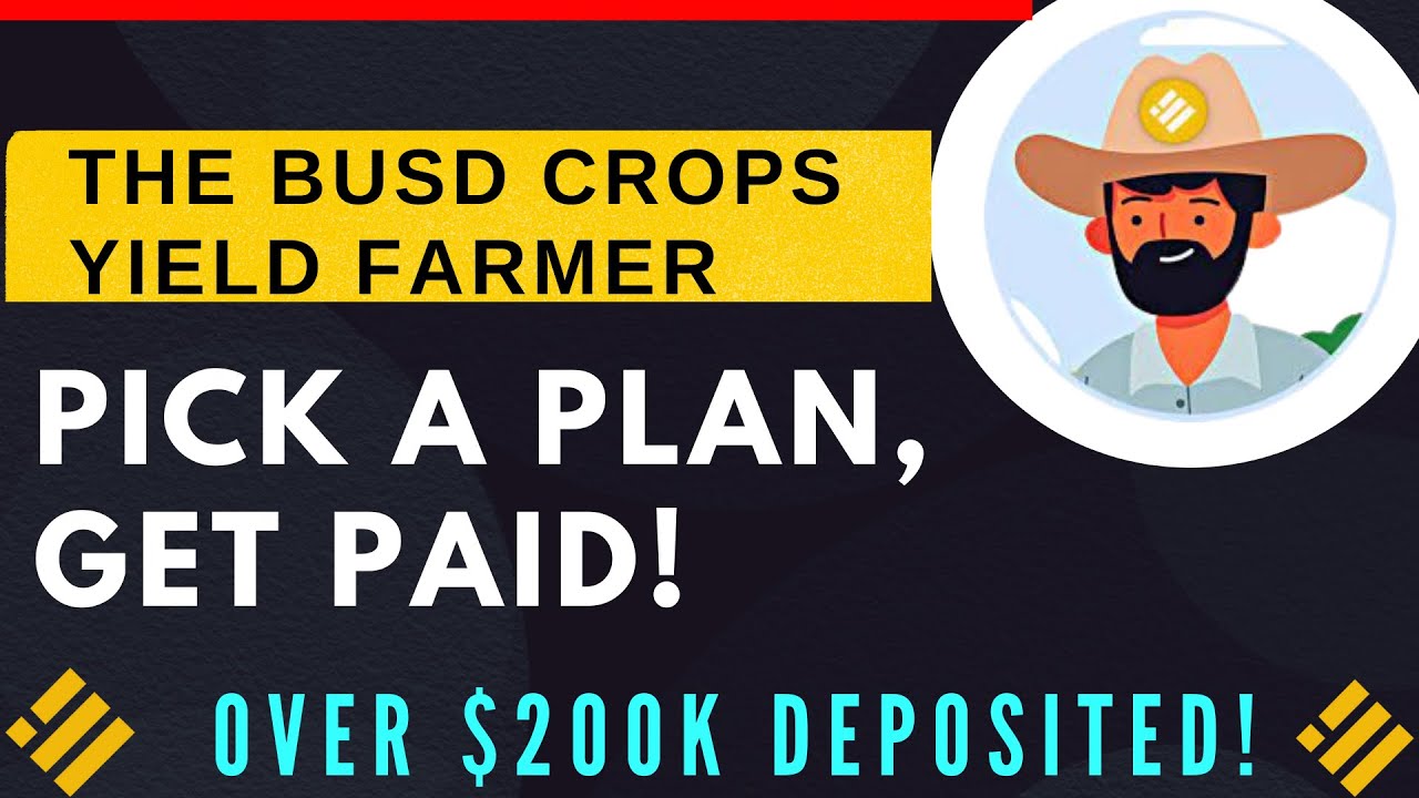 THE BUSD CROPS YIELD FARM | POTENTIAL TO LAST A VERY LONG TIME!