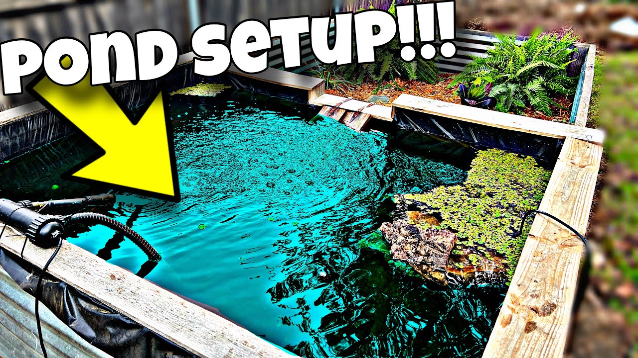 This POND Took 2 Years To Build!?!