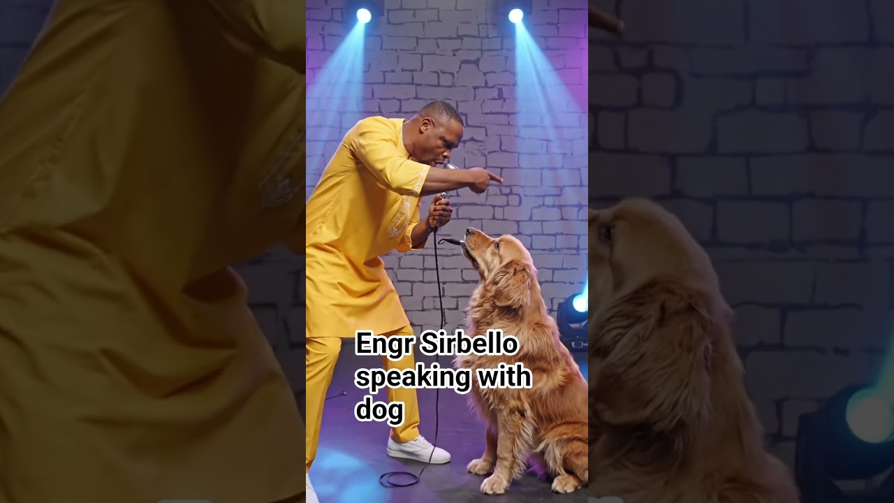 dog speaking with me