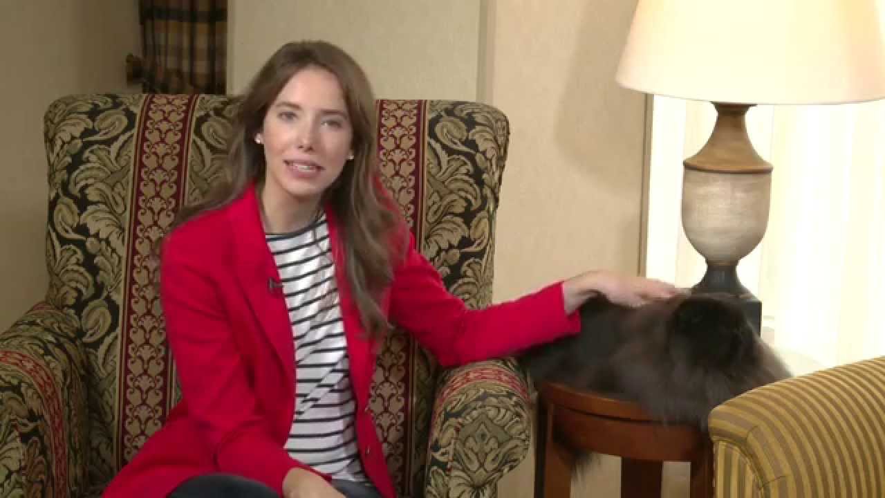 Breeders and pedigreed cats.