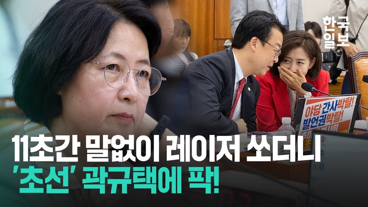 '떠든 사람 체크', '조폭이냐', '엽기 컬트 무비'...끝이 안 보이는 아수라장 법사위