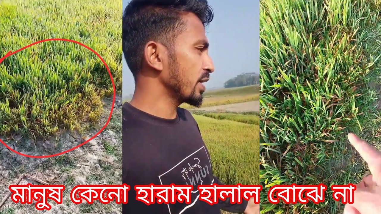 কারো ক্ষতি করে কেউ কখনো উপরে উটতে পারে না। @VillageAgro25 
