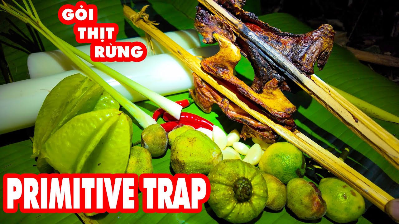 Primitive Survival Skills - Episode 4: Making Animal Traps Using Vines and Stones ✧ Suoi Ban TV