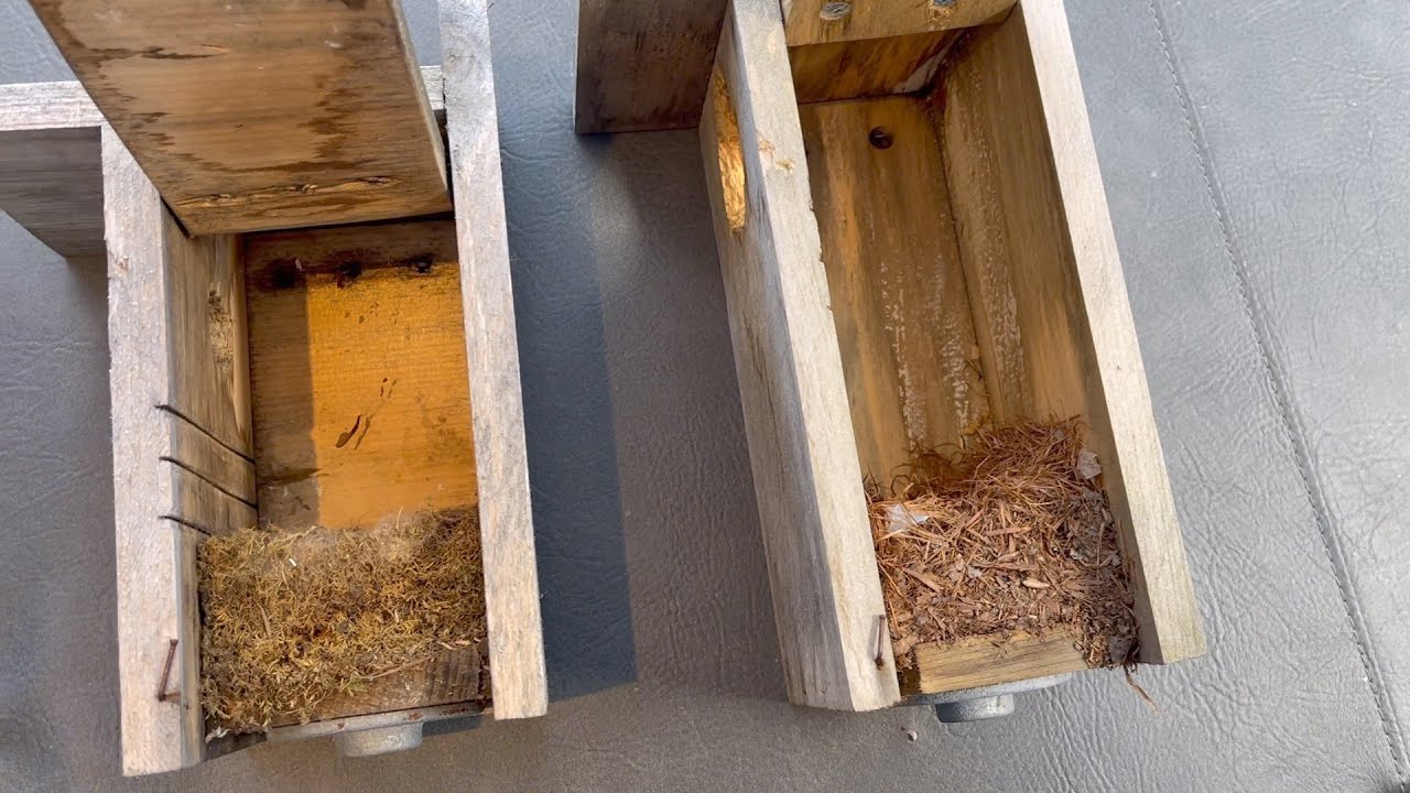 Nichoirs / Nesting boxes