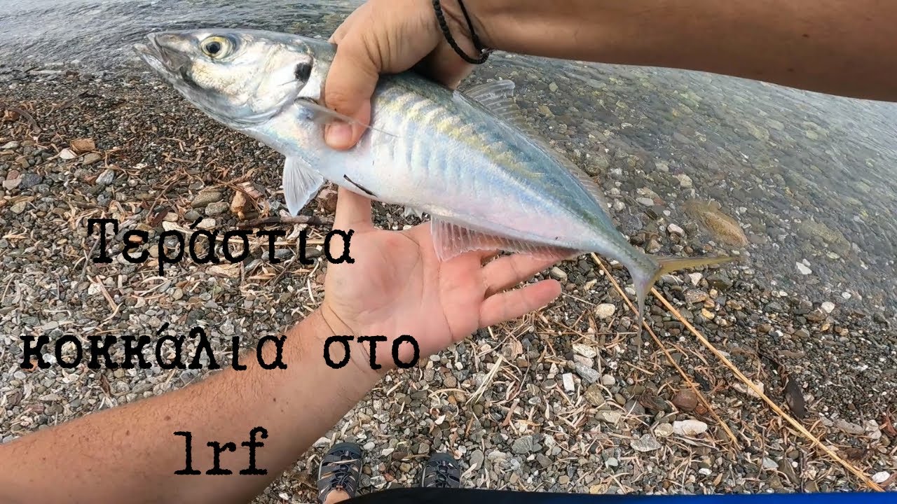 Βολή και ψάρι!!!! Τεράστια κοκκάλια μετά την καταιγiδα !!!
