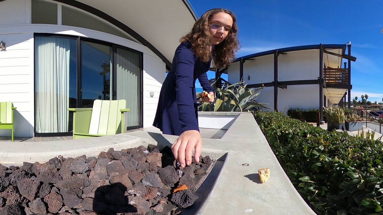 lakehouse resort birds vr 360 virtual reality oculus