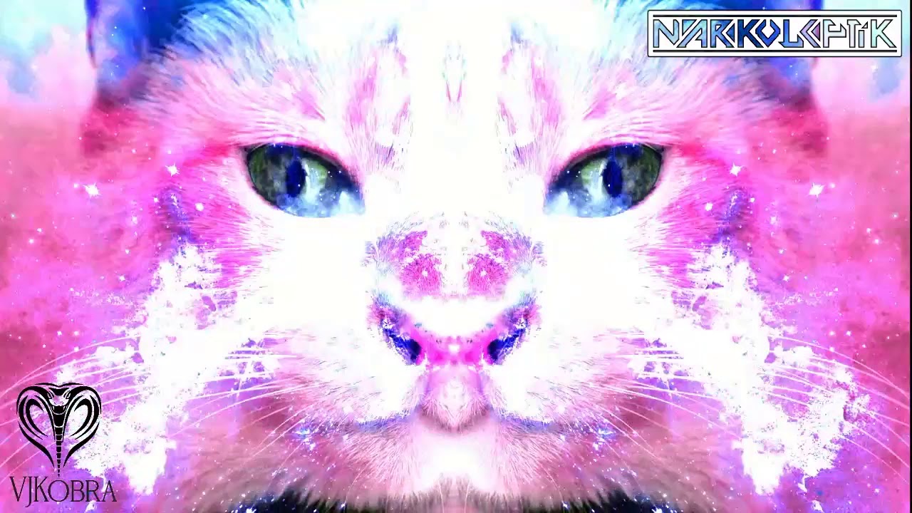 ISOLATION: Narkoleptik + Live Visuals By VJ Kobra