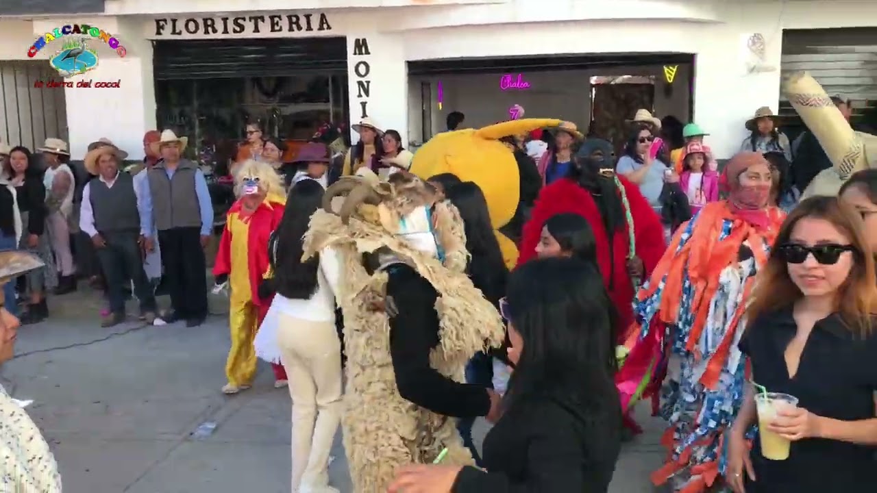 Banda Tierra Mixteca/ carnaval 2024/ independencia Chalcatongo 🎉💕