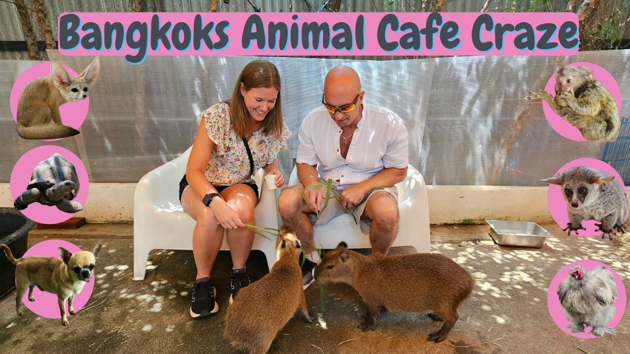 48 Hours in BANGKOK 🐾 Visiting the Wildest Animal Cafes + Street Food in Chinatown!