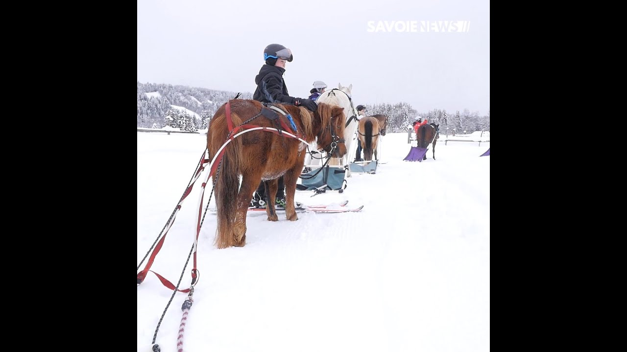 La Féclaz : Ski Joering