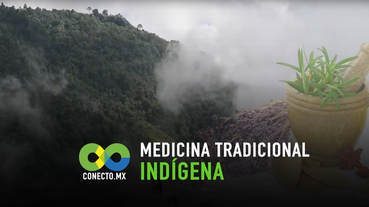 Medicina tradicional indígena