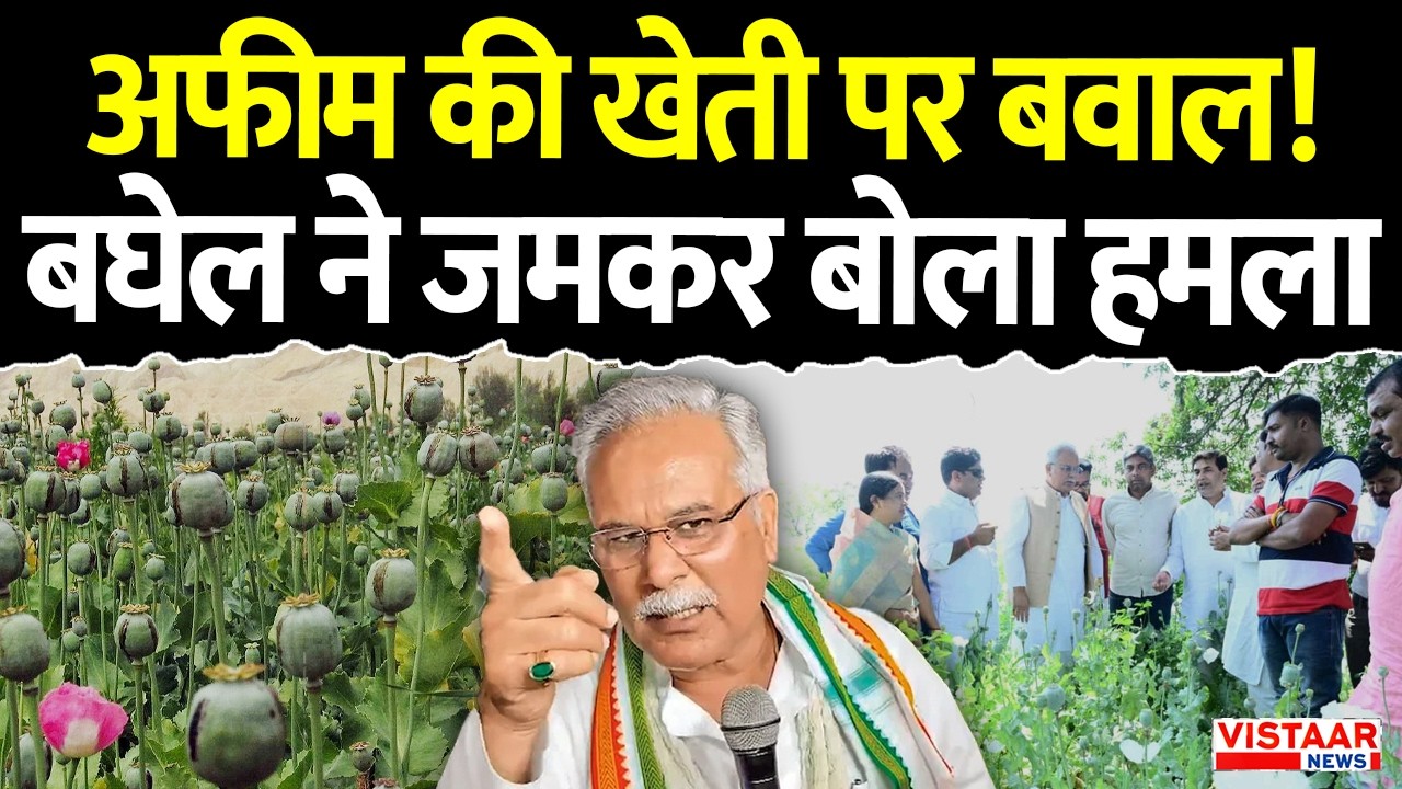CG Budget Session: विधानसभा में गूंजा अफीम की खेती का मुद्दा, Bhupesh Baghel ने सरकार को घेरा । BJP