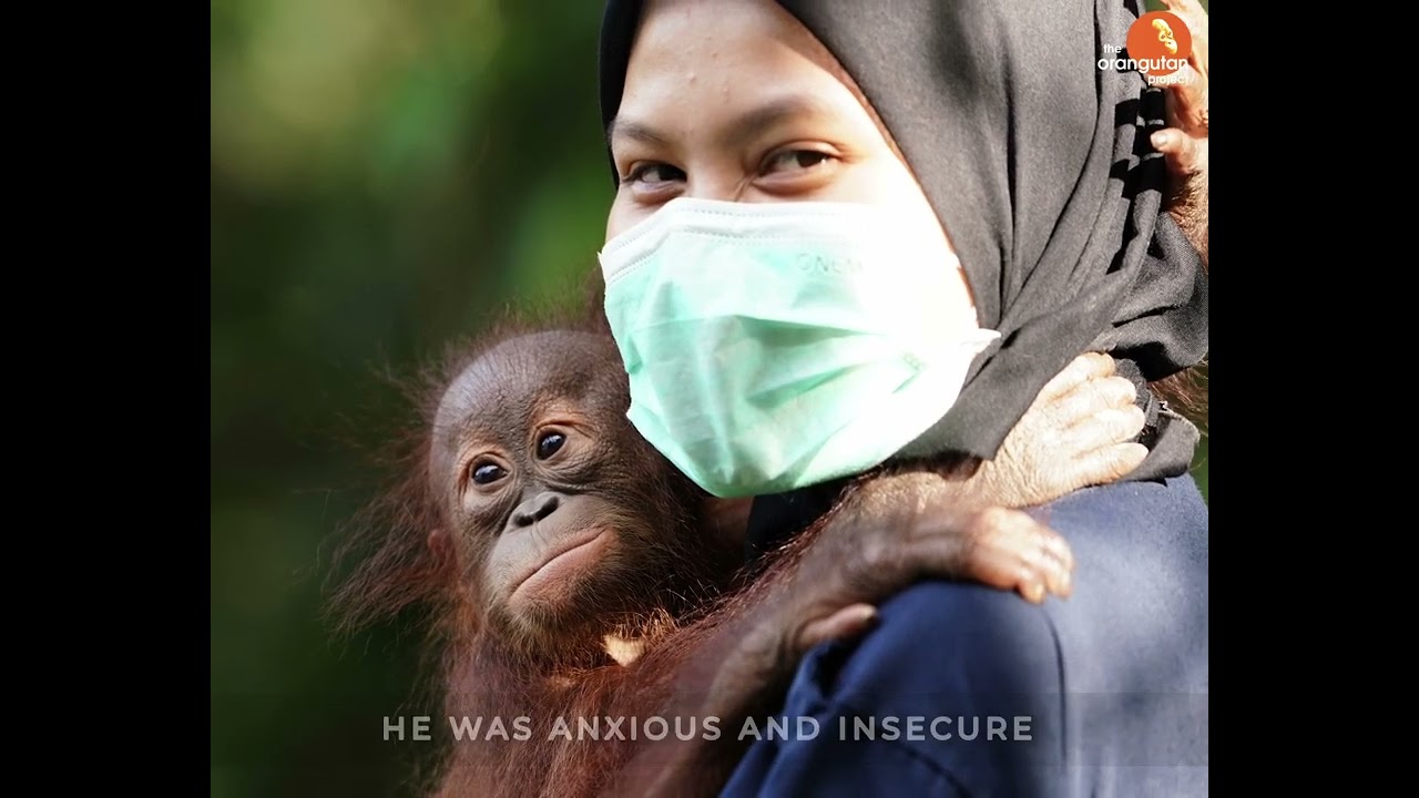 From Orphaned to Hopeful: Arto & Harapi’s Journey Begins