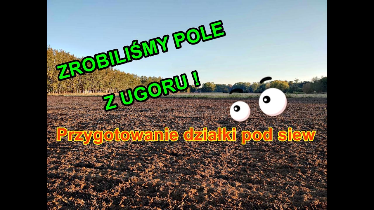 Przygotowanie działki pod siew czyli Pole z ugoru cz.3 vlog #136