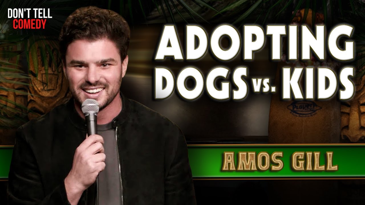 Adopting Dogs vs. Kids | Amos Gill | Stand Up Comedy
