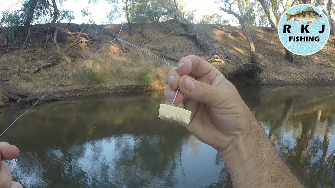 Murray Cod fishing using cheese for bait