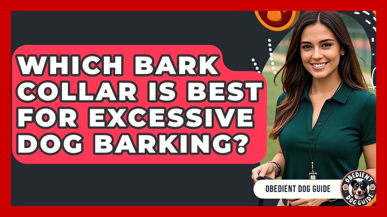 Which Bark Collar Is Best For Excessive Dog Barking? - Obedient Dog Guide