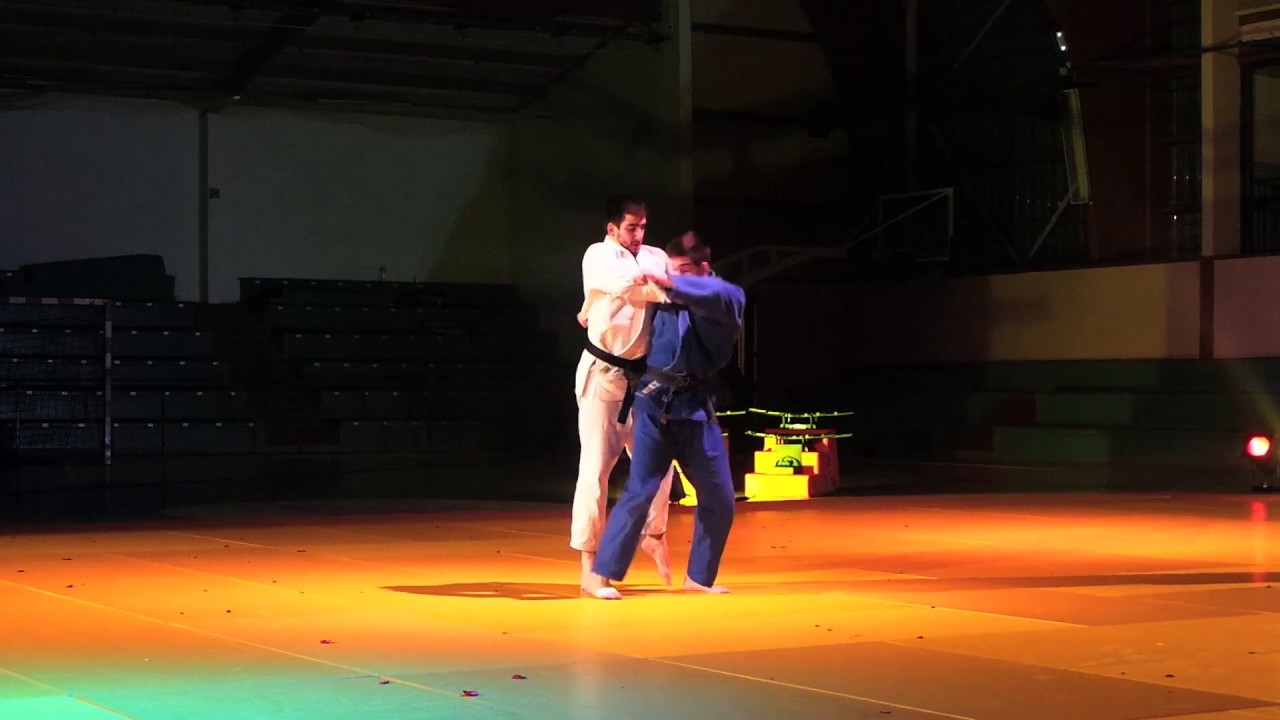 Twins J judo show - Nuit des arts martiaux de Poissy (78)