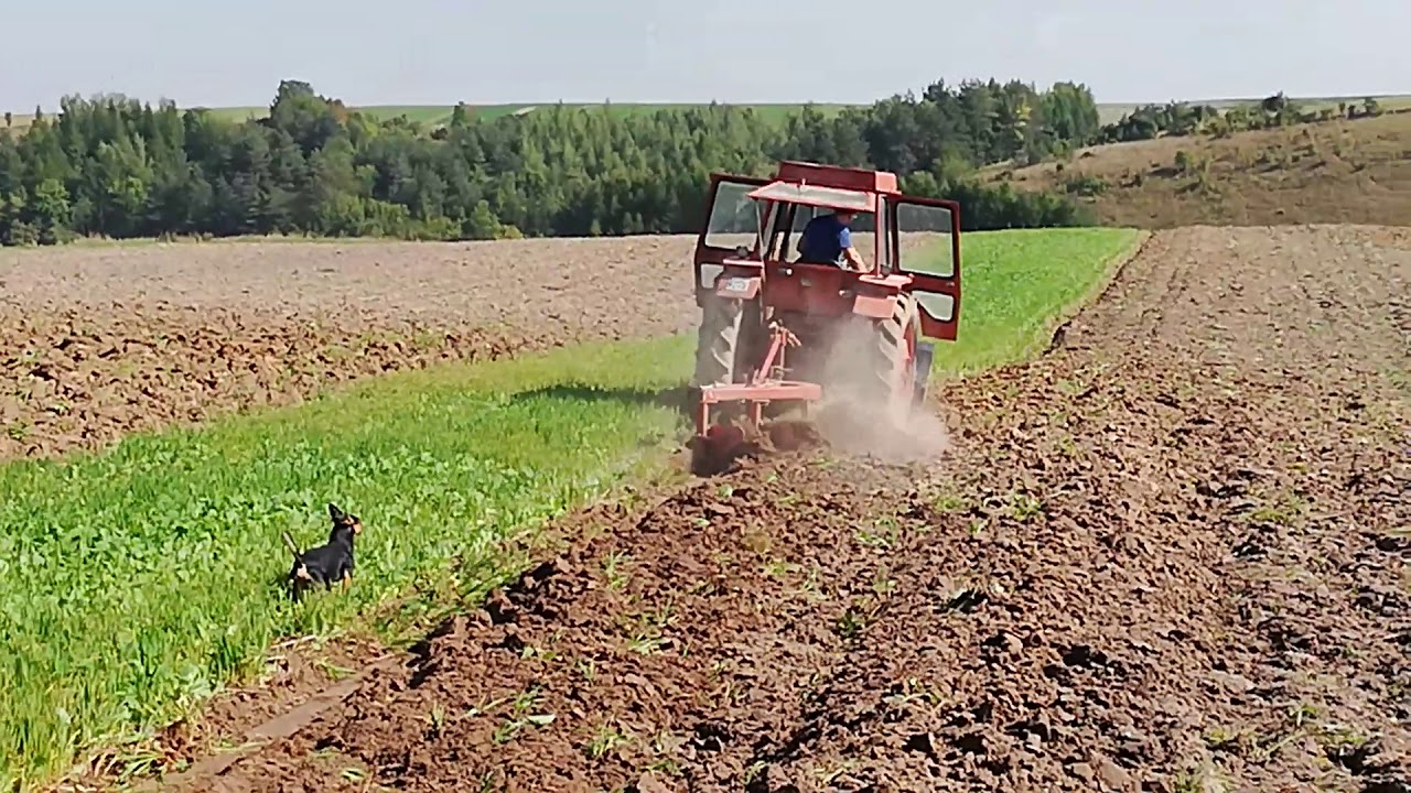Orka poplonu LTZ 55a 3 skiby v3