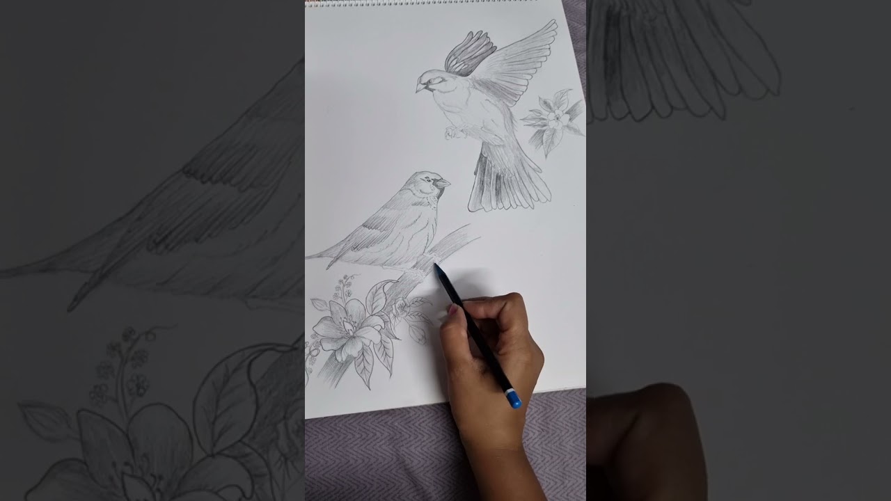 let set free the birds 