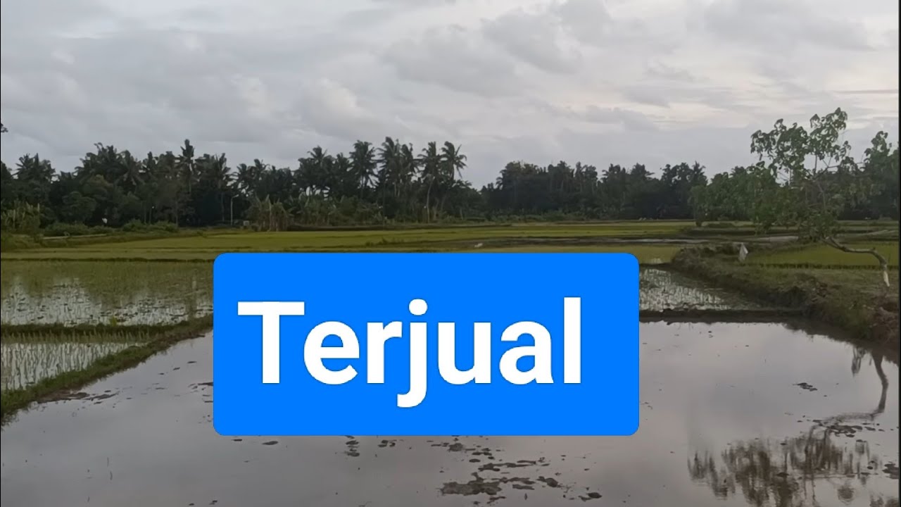 Tanah Hadap jl raya  SHM 241 m² lebar 10 m lok Sanden Bantul Yogyakarta 