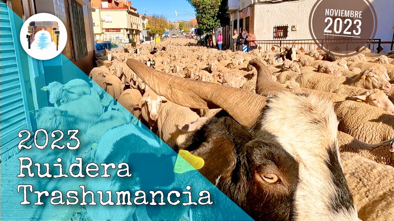 TRASHUMANCIA 2023