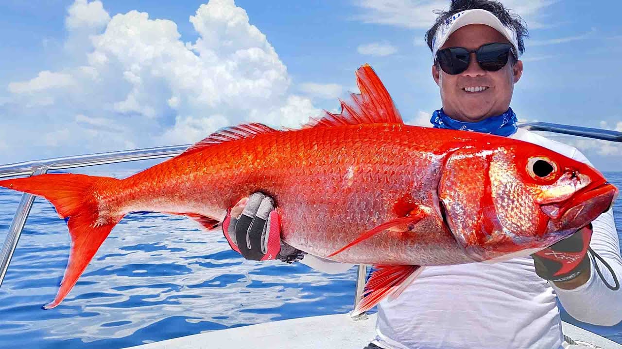 Jigging Ruby Monster Snapper in 190meter Depth
