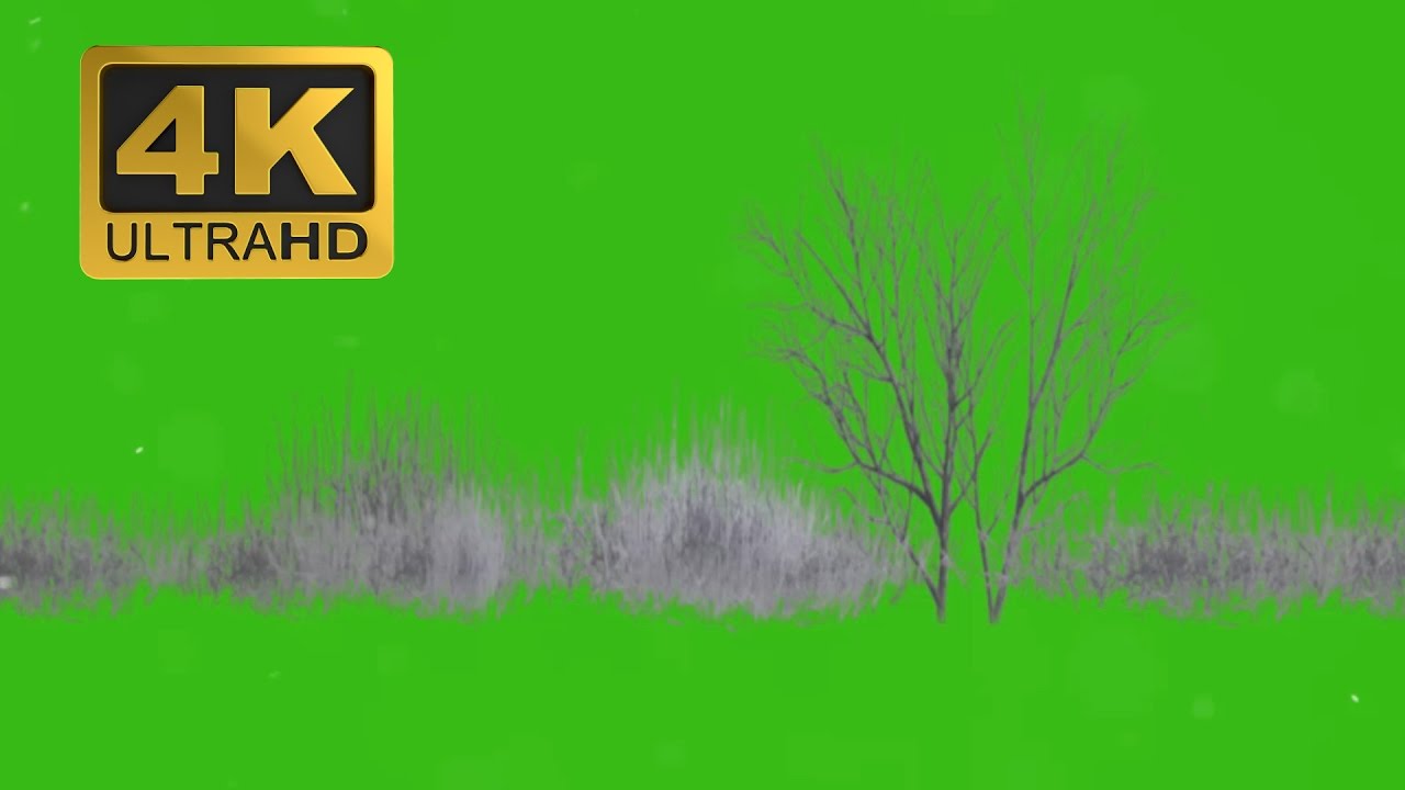 Cold & Brush - Green Screen Footage Free