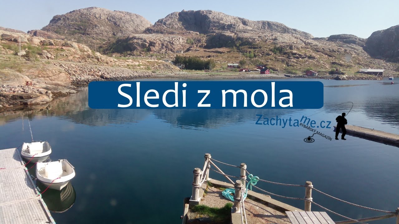 Sledi z mola