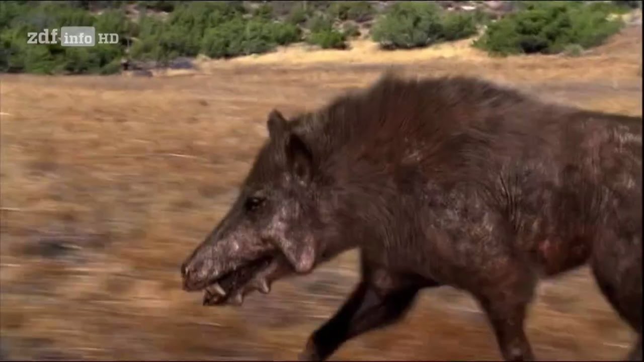 [Doku] Pr&auml;historische J&auml;ger - Das Killerschwein [HD]