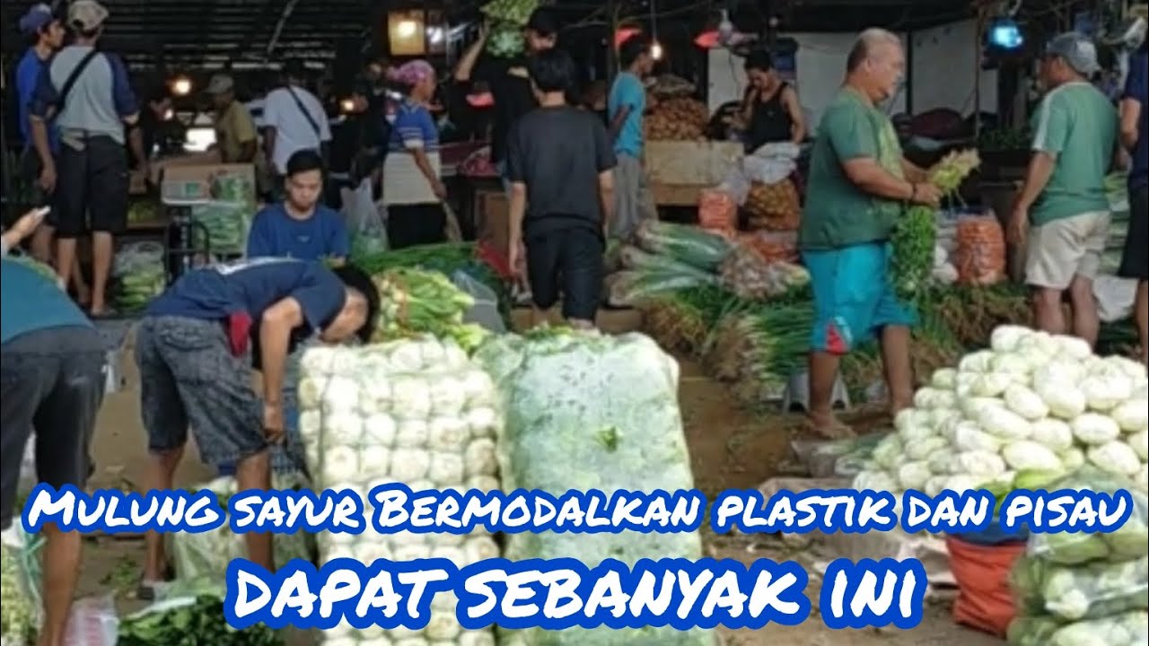 MULUNG SAYUR BERMODALKAN PLASTIK & PISAU DAPAT SEBANYAK INI 