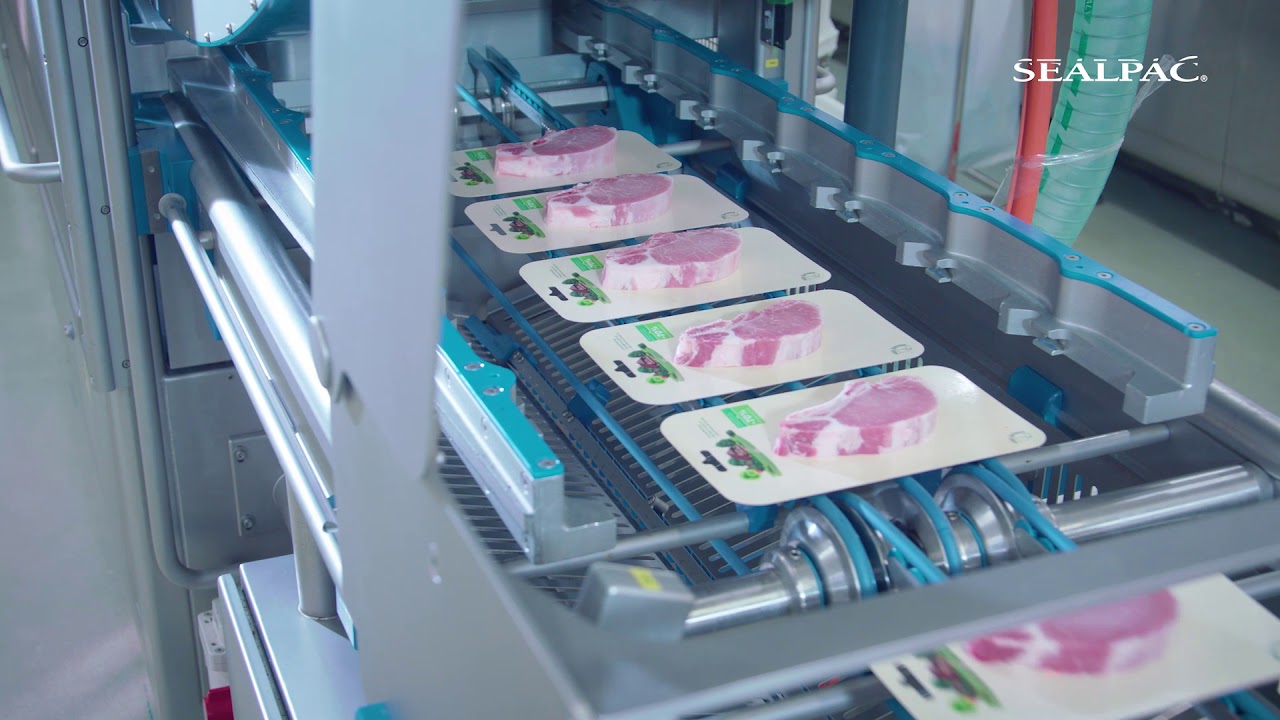 SEALPAC A10 Traysealer Single Lane FlatSkin Line for Meat