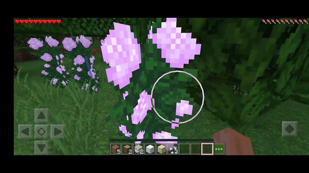ماينكرفت 🌺 جميع الوحوش هجمت علي و رجعت لنقطة الصفر 😭