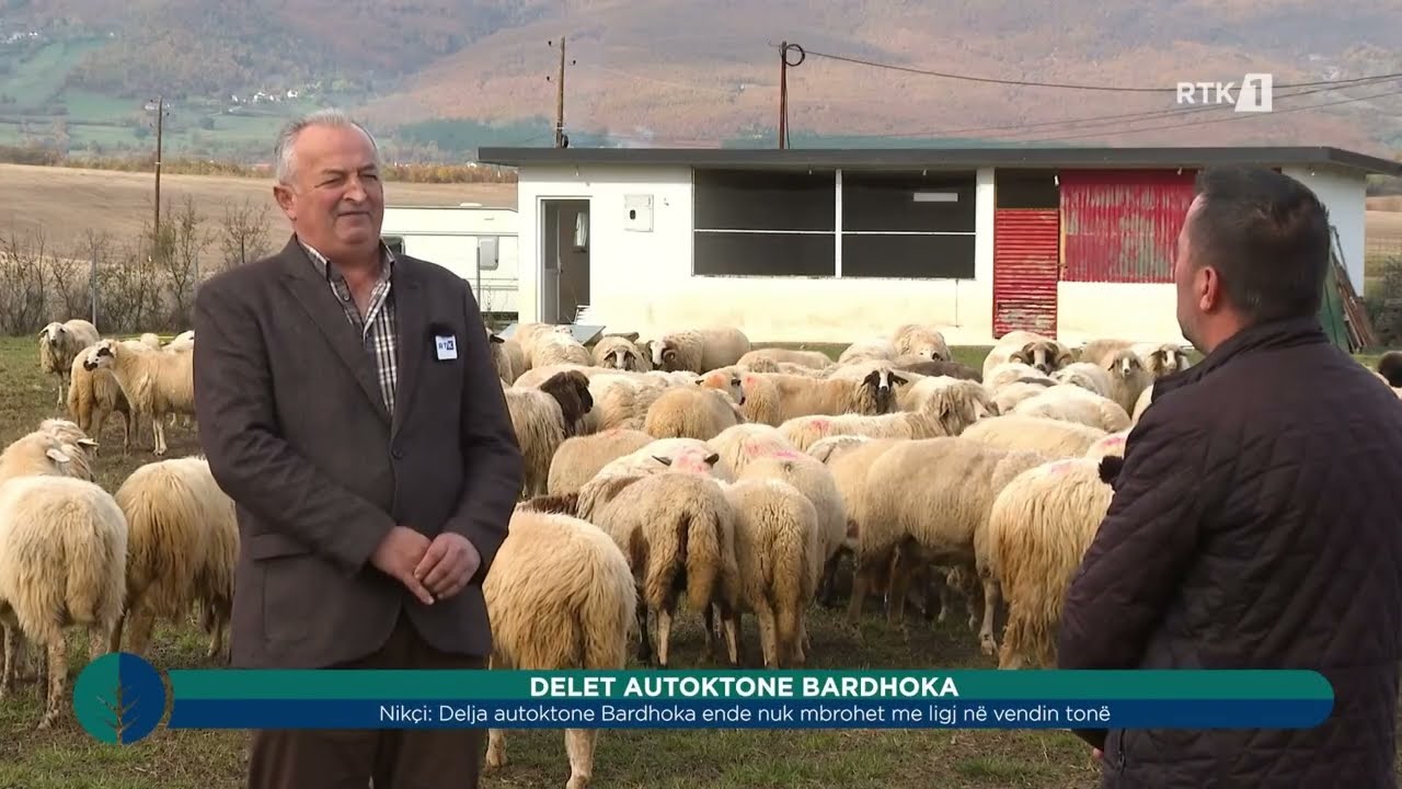 Toka - Delet autoktone bardhoke 01.12.2025