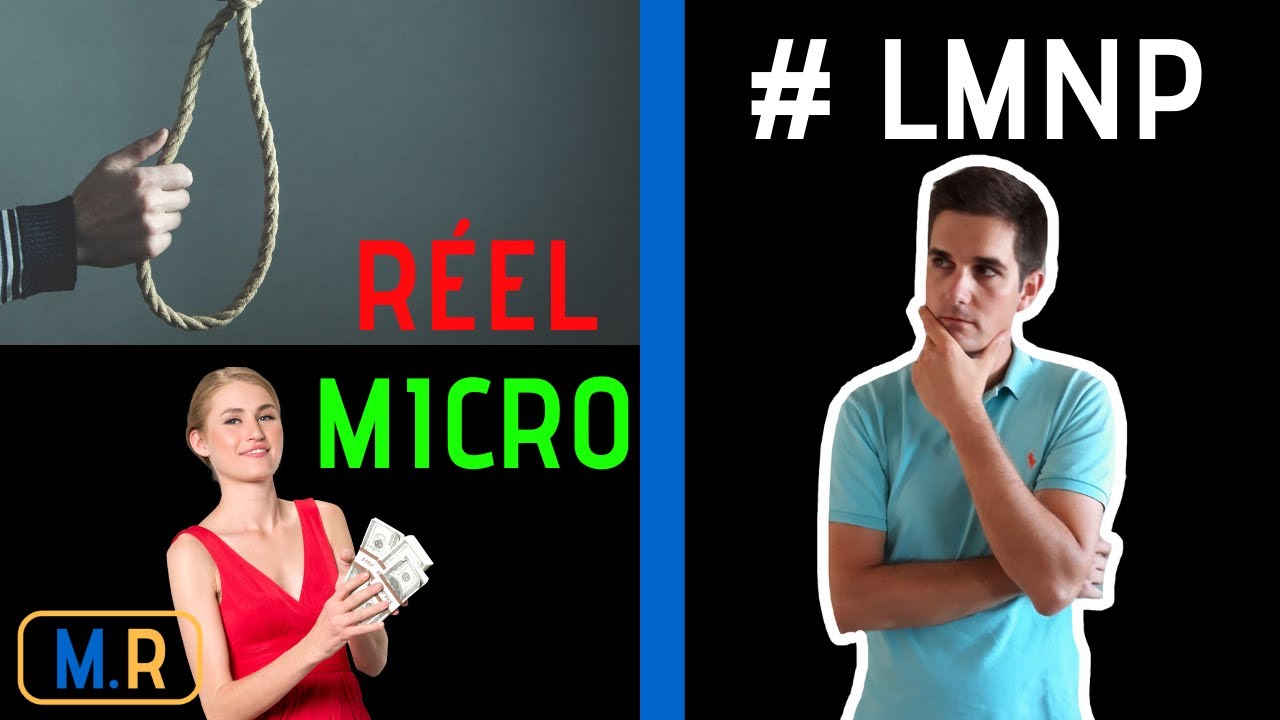 LMNP - BIC R&eacute;el Ou Micro BIC ?