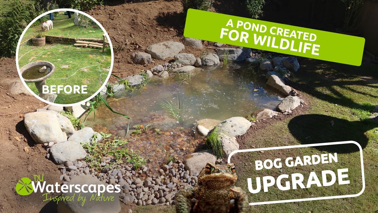 small WILDLIFE POND near Dartmoor