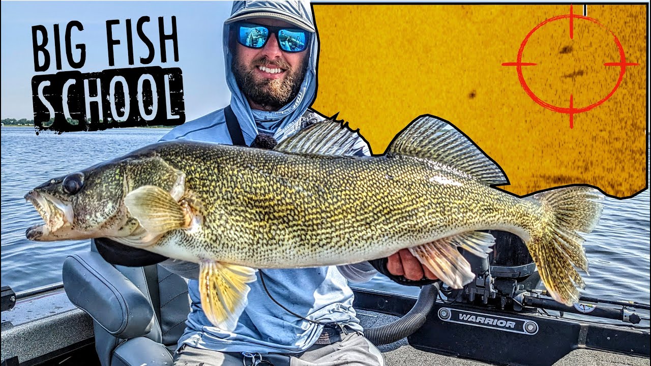 Snap Jigging BIG Summer Walleyes in Shallow Water!