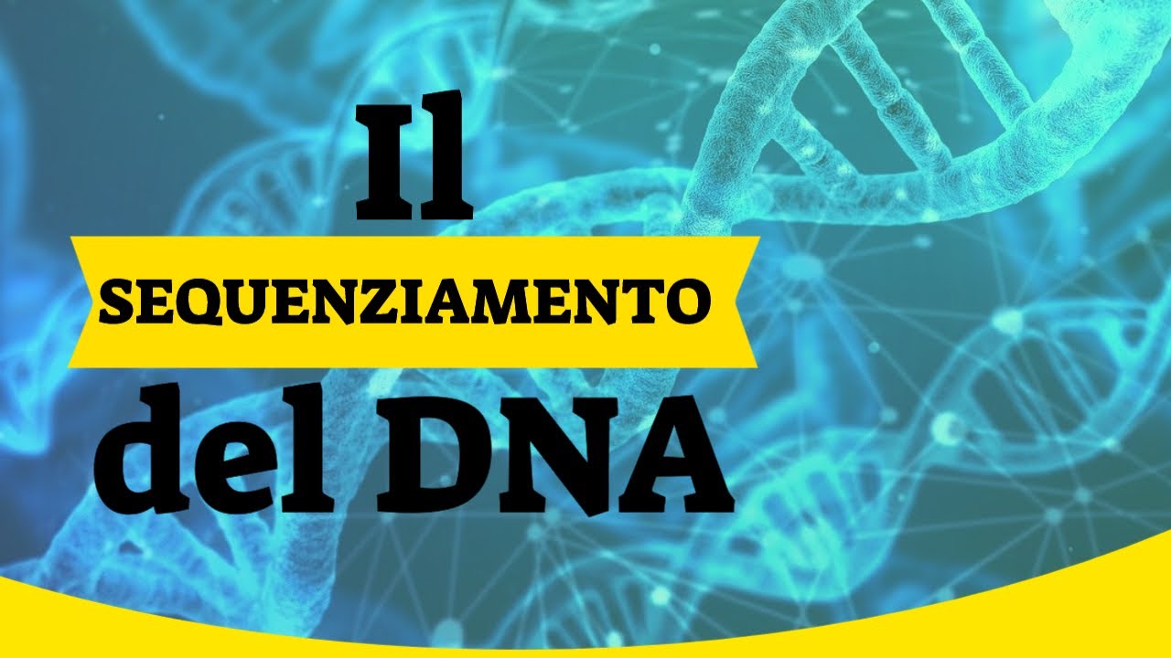 Il sequenziamento del DNA 🧬