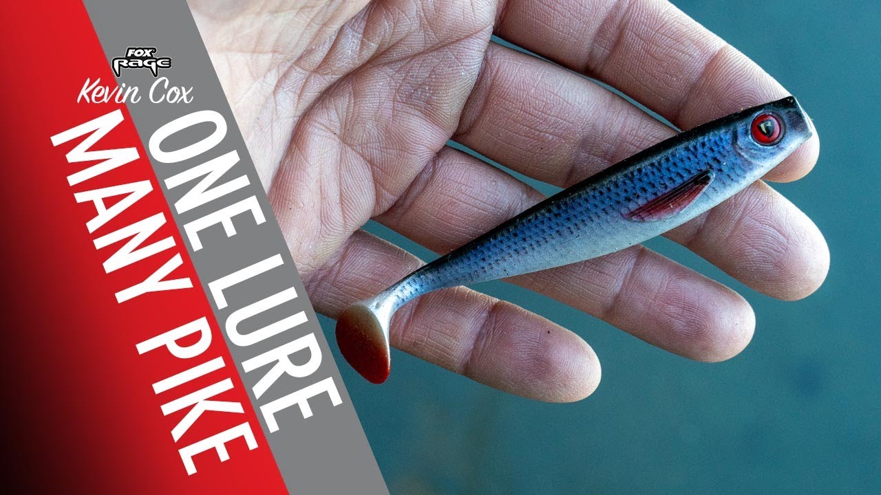 PIKE ATTACK THIS LURE TIME AND TIME AGAIN: Lure fishing for Pike with soft plastic lures.