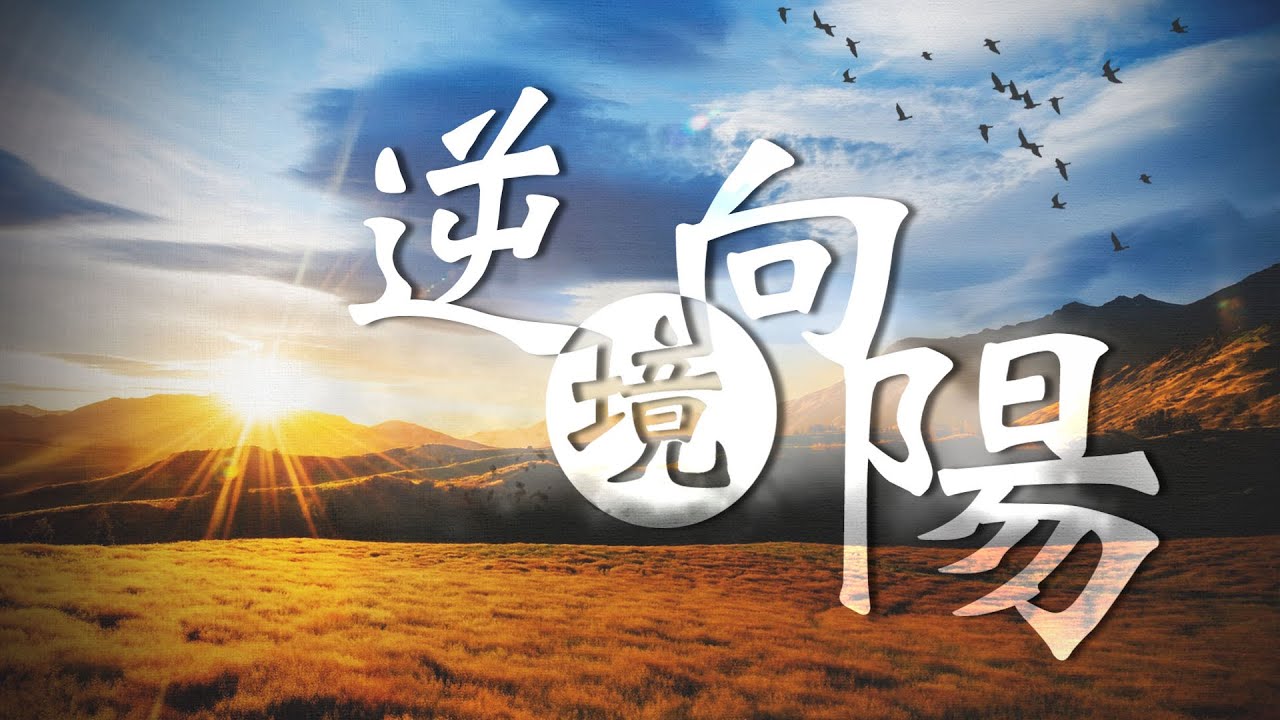 逆境向陽！ 非行少年真情告白